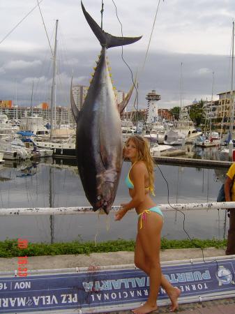 236 lb. Tuna, Jamie Ujena Model too....